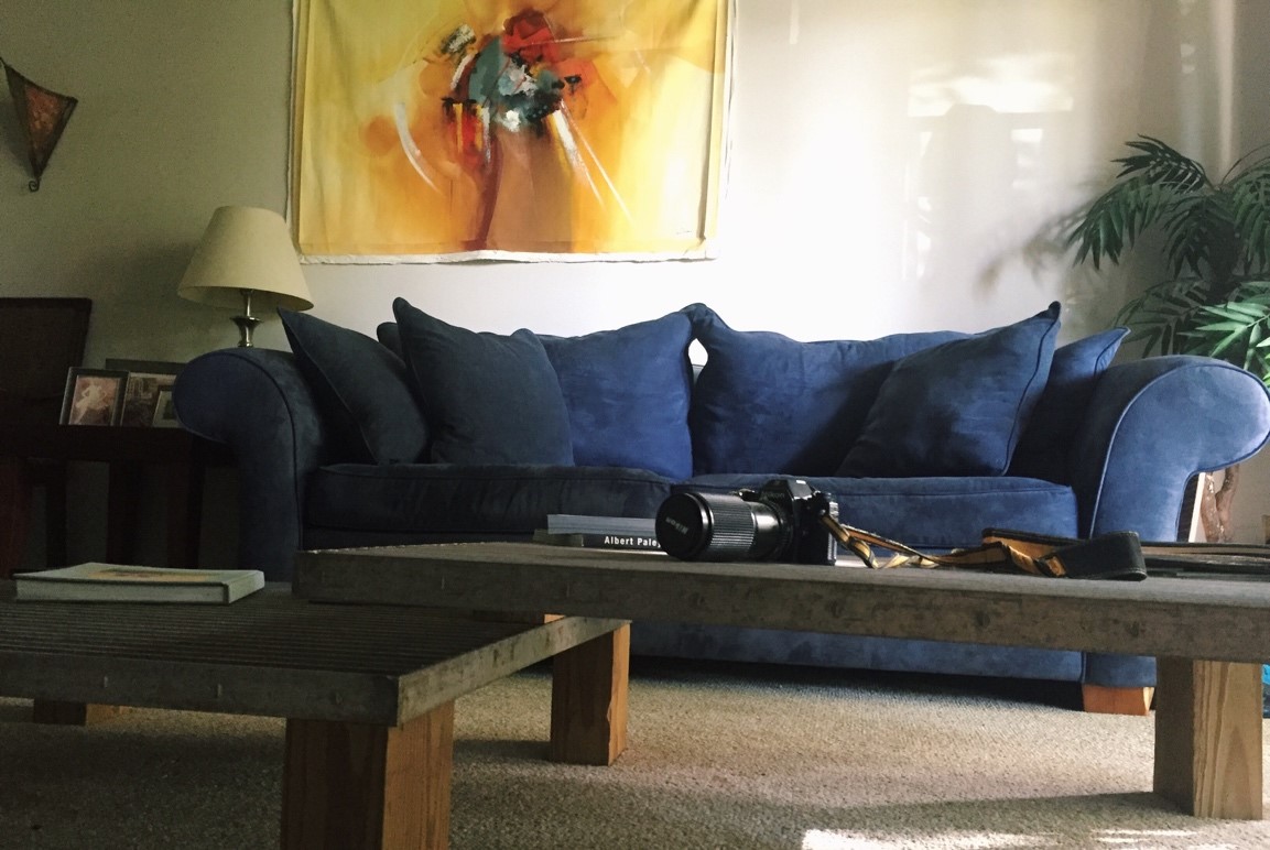 Forgotten Beauty, Couch, MGS Counseling 